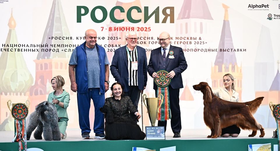 Рекордное количество собак со всего мира собралось на выставке в Подмосковье