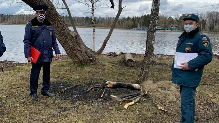Около 800 нарушений устранили в ходе противопожарных рейдов в Подмосковье