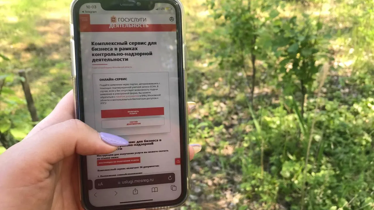 В Московской области федеральные виды контроля переходят в «цифру»