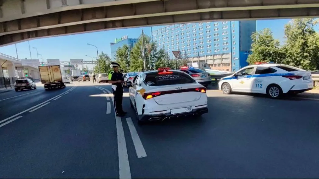 В Подмосковье выявили 260 нелегальных перевозчиков у аэропорта
