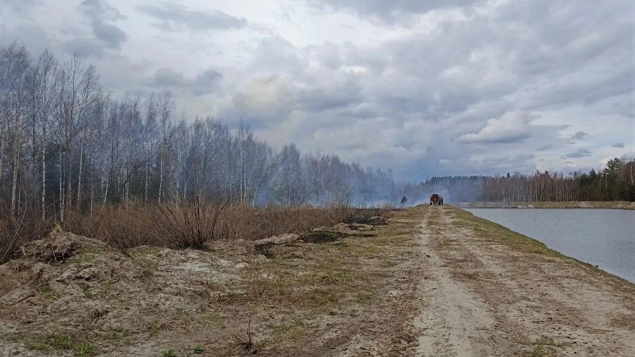 В Подмосковье устранили первые лесные пожары в этом сезоне