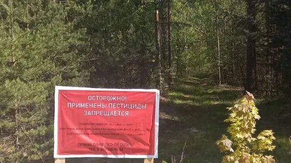 На востоке Подмосковья начата обработка лесов от непарного шелкопряда
