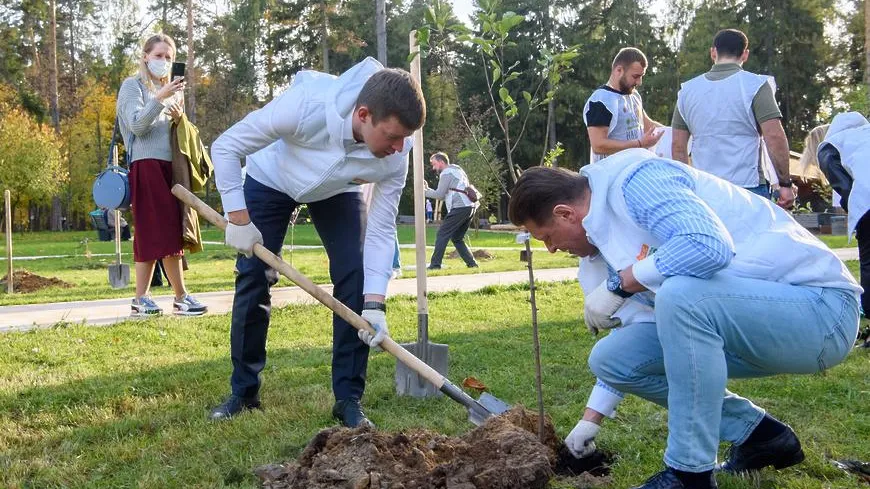 Более 20 деревьев высадили на аллее рекламы в Пестовском парке Балашихи в рамках акции