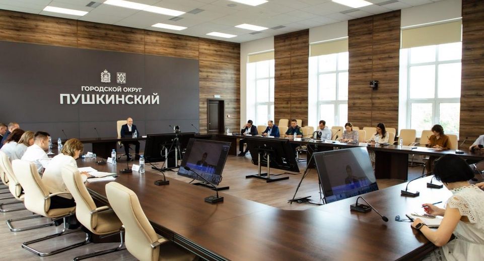 В Пушкинском капитально ремонтируют 5 образовательных учреждений и 2 автодороги