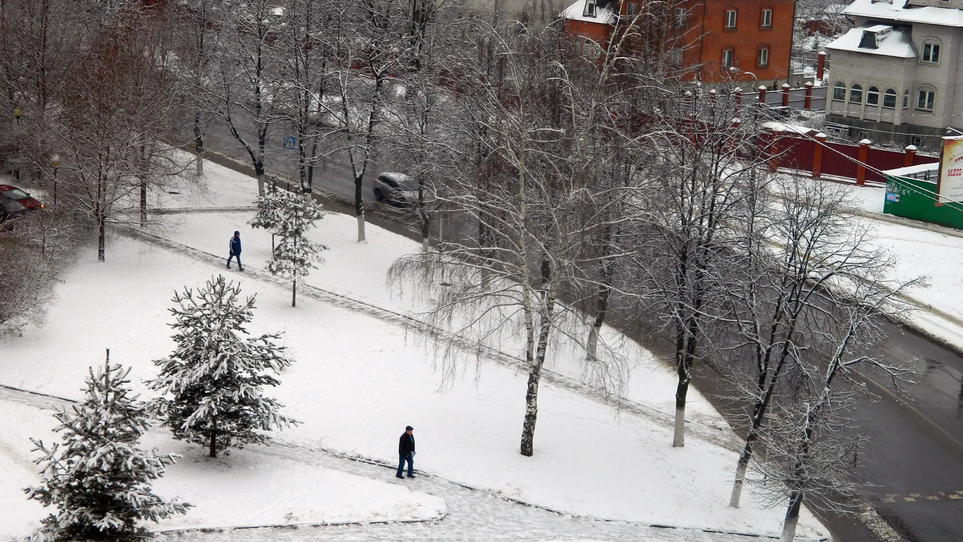 Будет ли снег? Петербуржцам рассказали о погоде