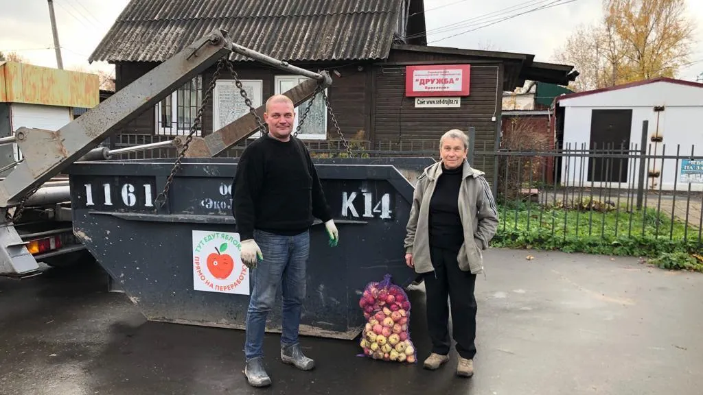 Подмосковные дачники смогут сдать избытки яблок на переработку в октябре