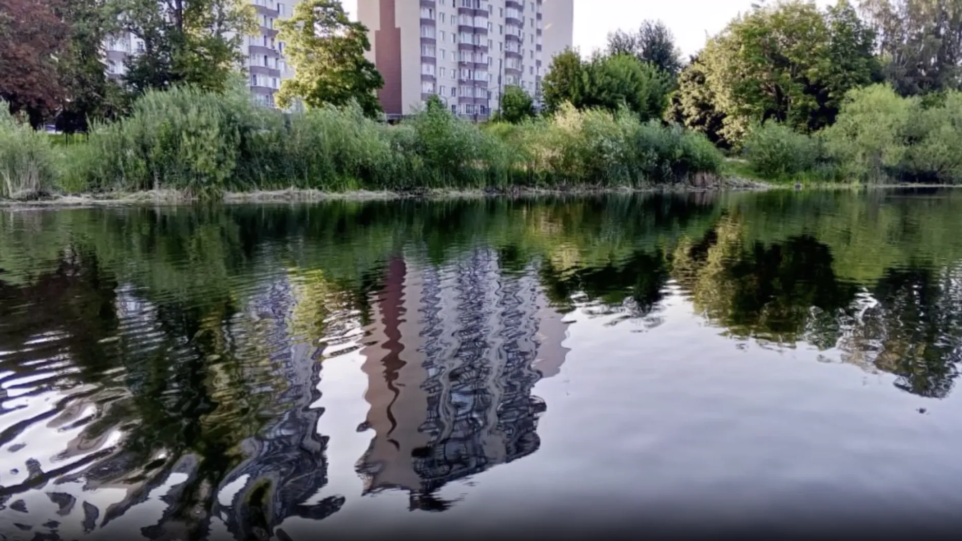 В Подмосковье начали расчистку водоемов в рамках программы «100 прудов и озер»