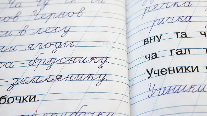Власти Петербурга активно поддерживают изучение русского языка в новых регионах