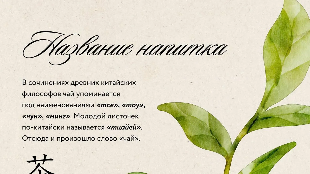 Специалисты центра крови Подмосковья рассказали о полезных свойствах чая перед донацией