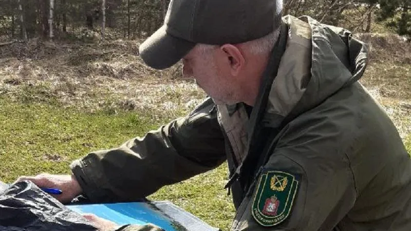 Больных или павших кабанов в Подмосковье не обнаружили, несмотря на жару