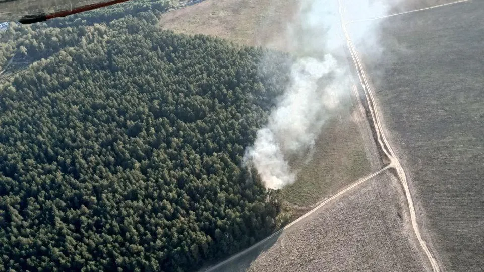 Лесной пожар потушен в Раменском округе