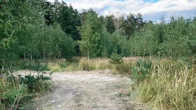 Около 20 куб м отходов убрали вблизи деревни Лукьяновка в Люберцах