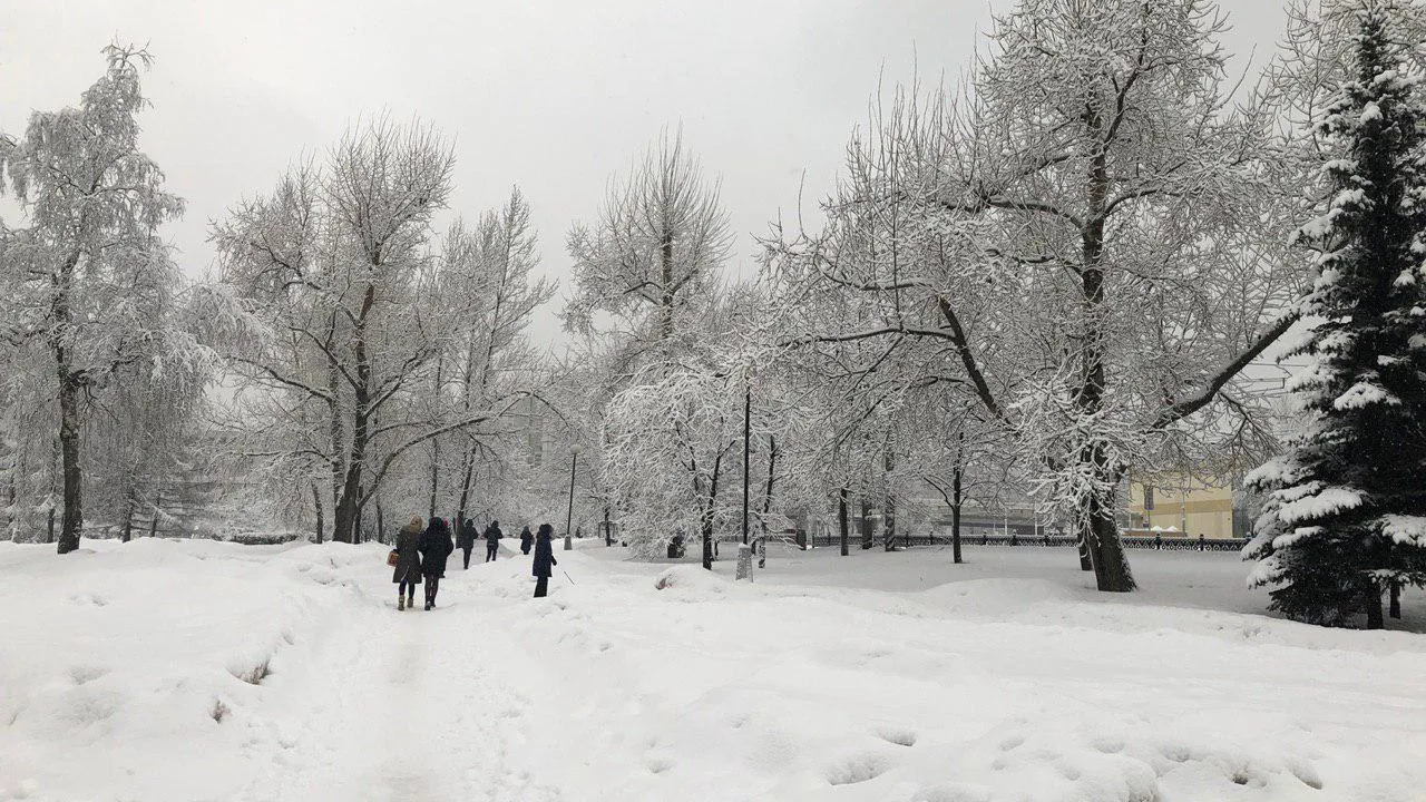 Почти половина месячной нормы осадков выпала в Подмосковье за минувшие сутки