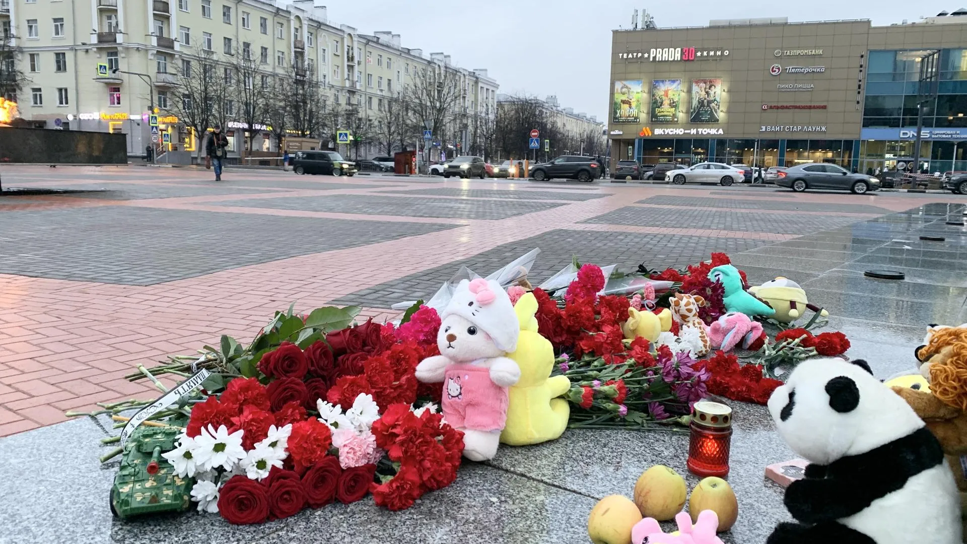 Волонтеры Балашихи возложили цветы и игрушки в память о жертвах теракта