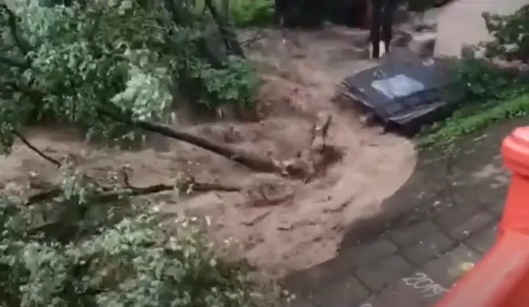 скриншот