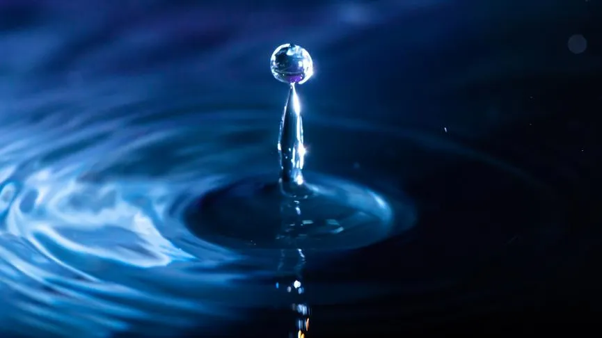 Ingram Publishing / Фотобанк Лори