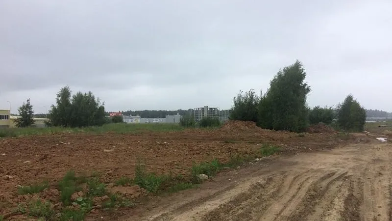 Предприятие в Мытищах ликвидировало незаконную свалку по требованию Минэкологии