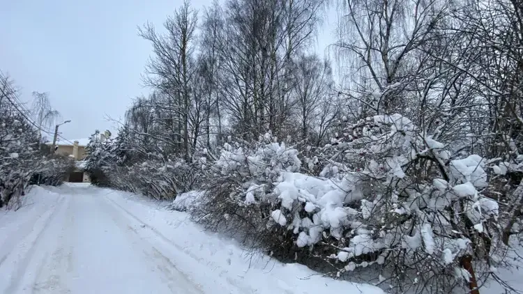 В Истре аренда участка выросла до 11 млн рублей в год