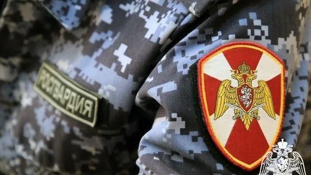 Росгвардейцы Подмосковья задержали подозреваемых в хулиганстве