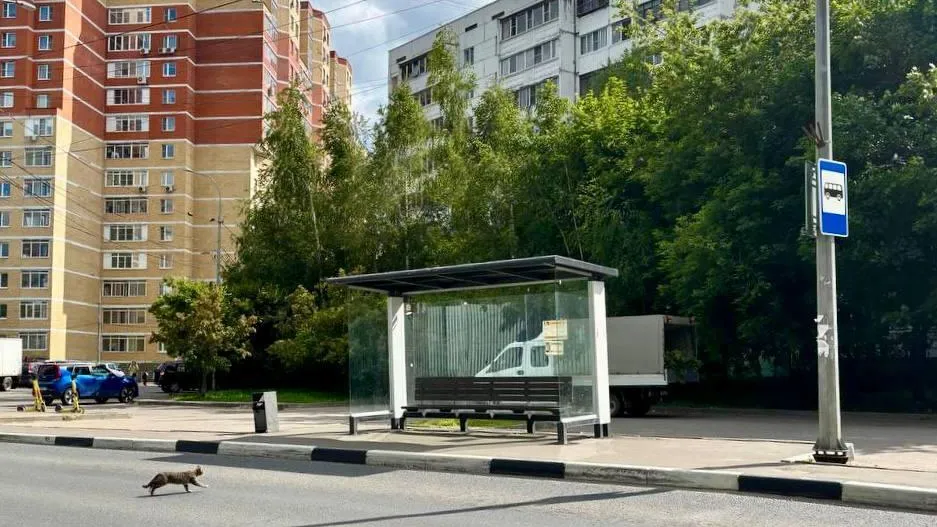 В Подмосковье обустроили 40 новых остановочных павильонов