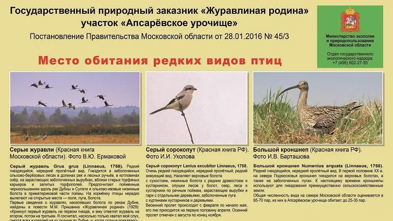 На севере Подмосковья установили 22 инфощита о редких видах животных и птиц
