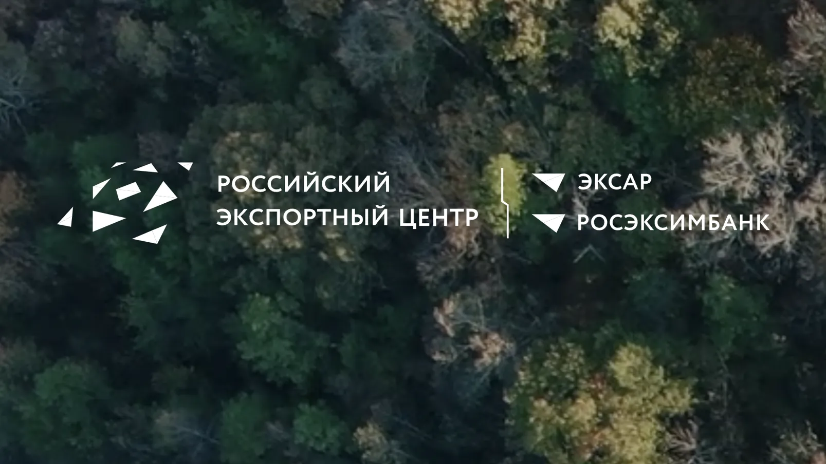 Жителям Подмосковья рассказали, как платформа «Мой экспорт» помогает в бизнес-решениях