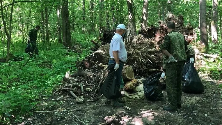 В Подольске в ходе уборки леса собрали 8 кубометров мусора