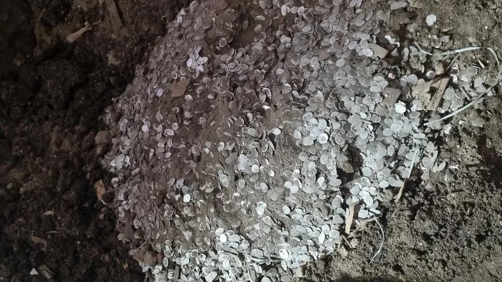 Старинные серебряные монеты нашли в палатах Аверкия Кириллова в Москве