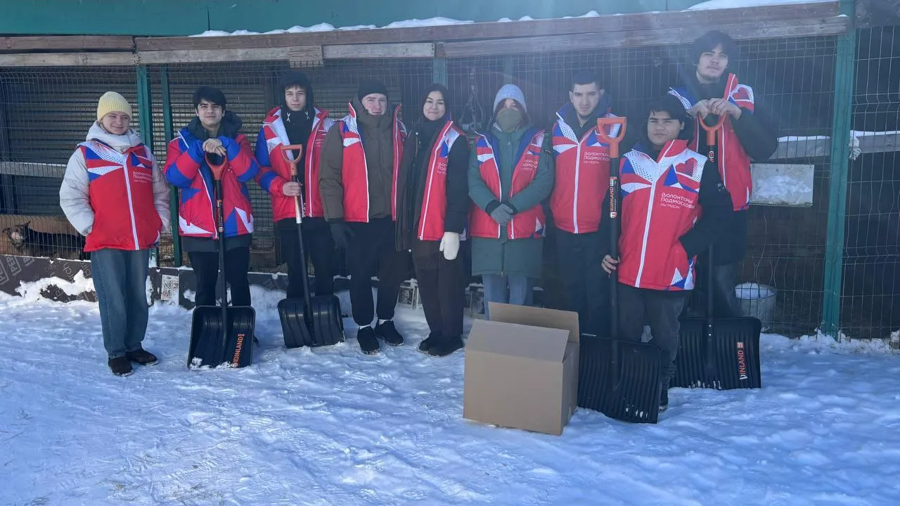 Волонтеры расчистили снег в приюте для животных в Ногинске