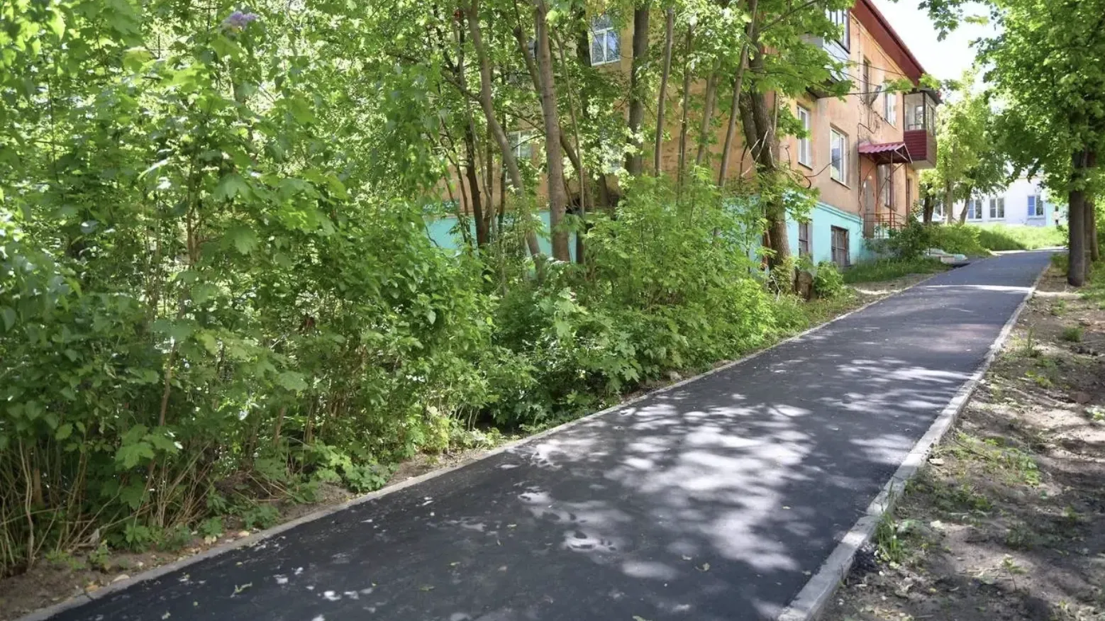 В Дмитровском округе будет обустроено 24 «народные» тропы в этом году