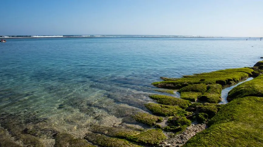 Россиянку унесло течением в открытый океан в последний день отпуска