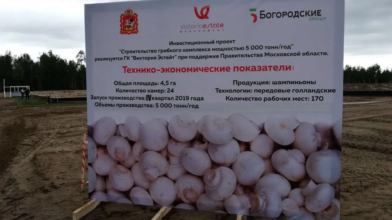 Новая ферма в Электростали поможет Подмосковью остаться лидером по выращиванию грибов в РФ