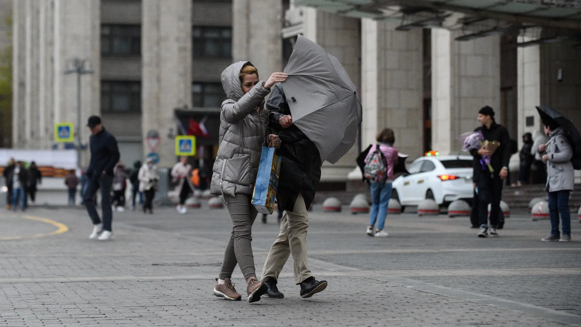 «Желтый» уровень опасности объявили в Московском регионе из‑за порывистого ветра