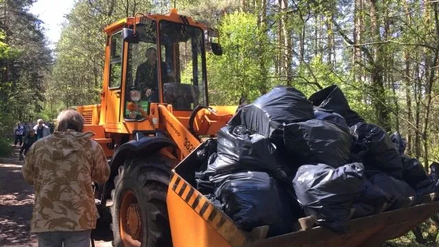 Большую часть свалок на востоке и севере Подмосковья устранили летом 2018 года