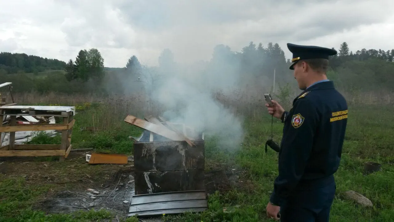 Владелец фермы в Можайском округе выплатит штраф за нарушения при утилизации биотходов