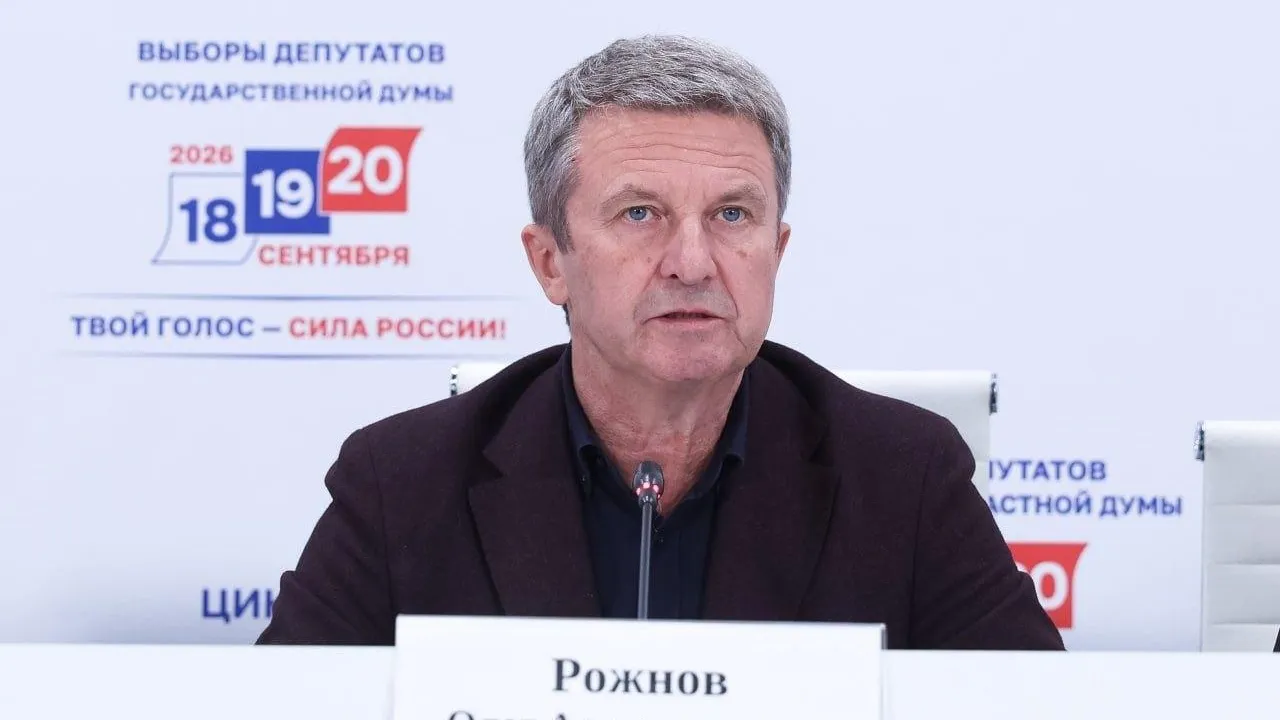Рожнов: формат дистанционного голосования быстро обрел большую популярность