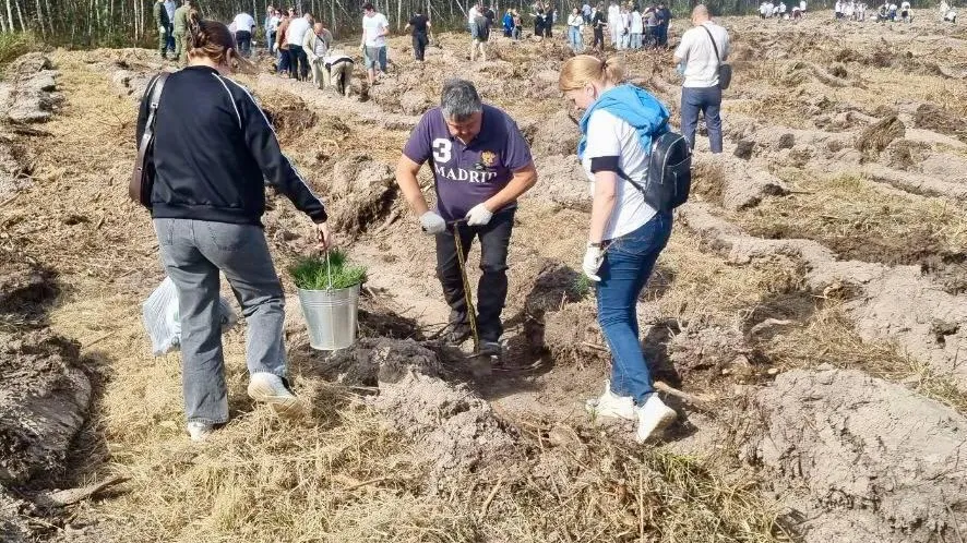 Минтранс Подмосковья принял участие в экоакции «День в лесу»