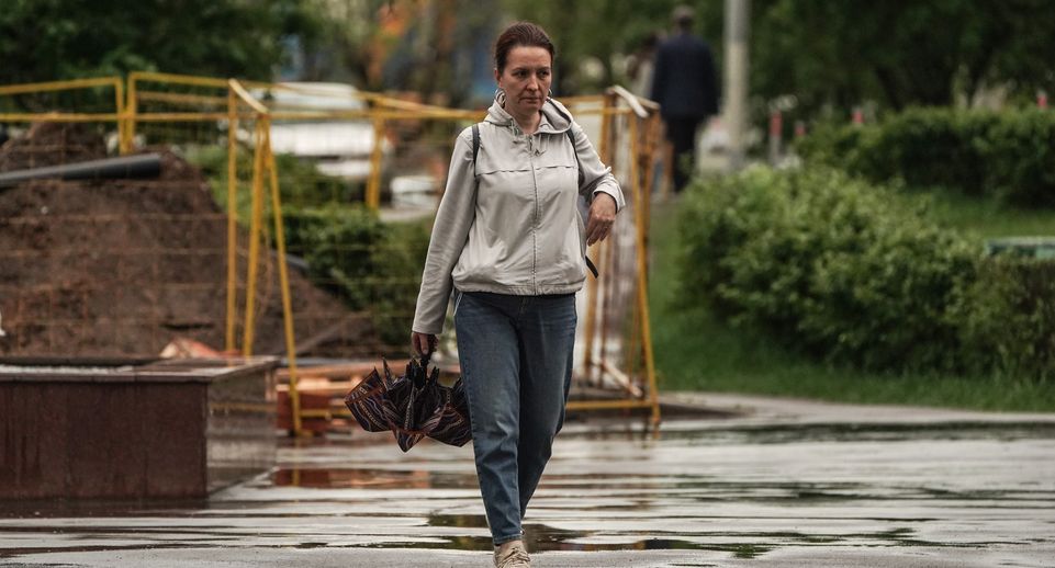Леус: вторая декада августа в Московском регионе будет прохладной