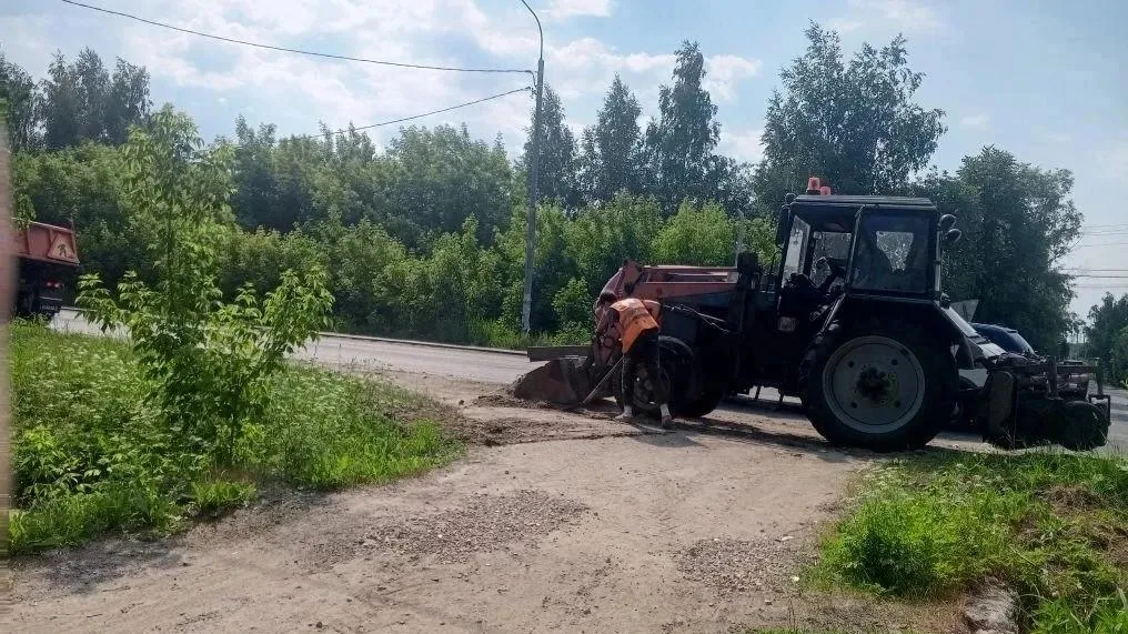 Из проезжавшего КамАЗа в Раменском высыпались тушки кур
