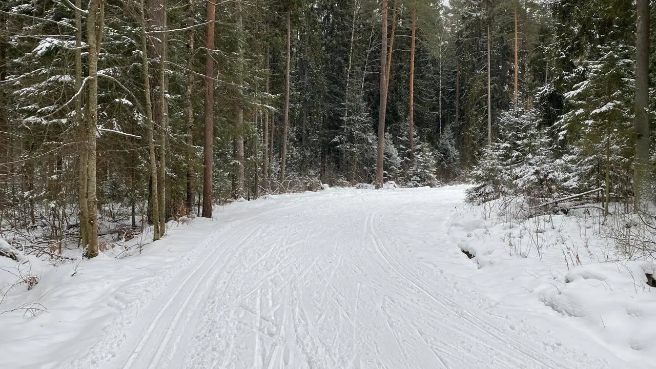 В Егорьевске открыты две лыжные трассы