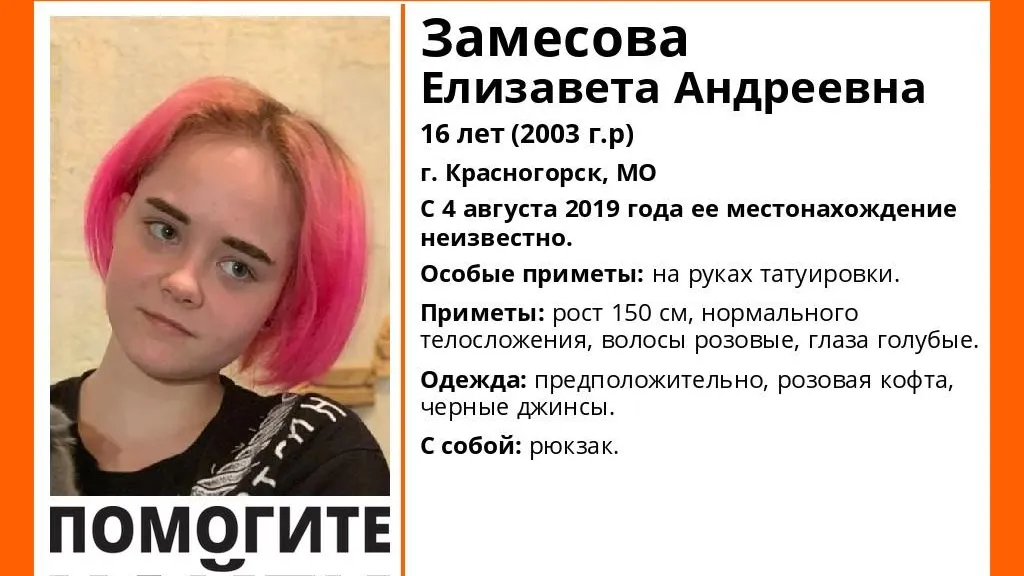 В Красногорске вторую неделю ищут пропавшего подростка