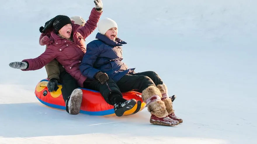 Тюбинги, ледовые спектакли и фермы: куда сходить взрослым в Подмосковье на новогодних выходных