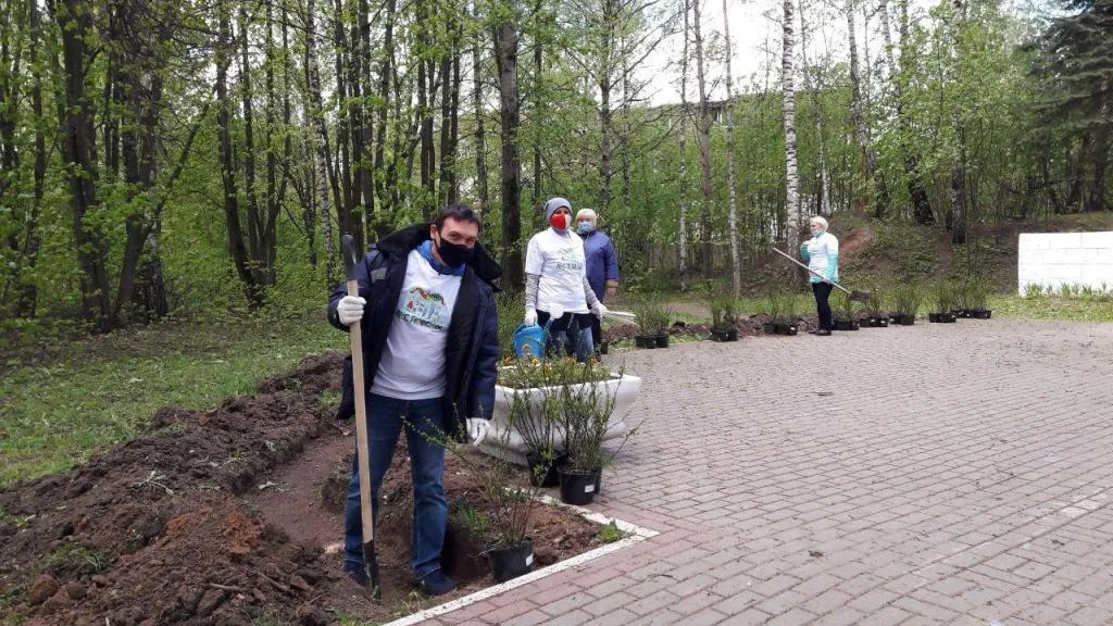 Более 400 деревьев высадят в Мытищах в рамках акции «Лес Победы»