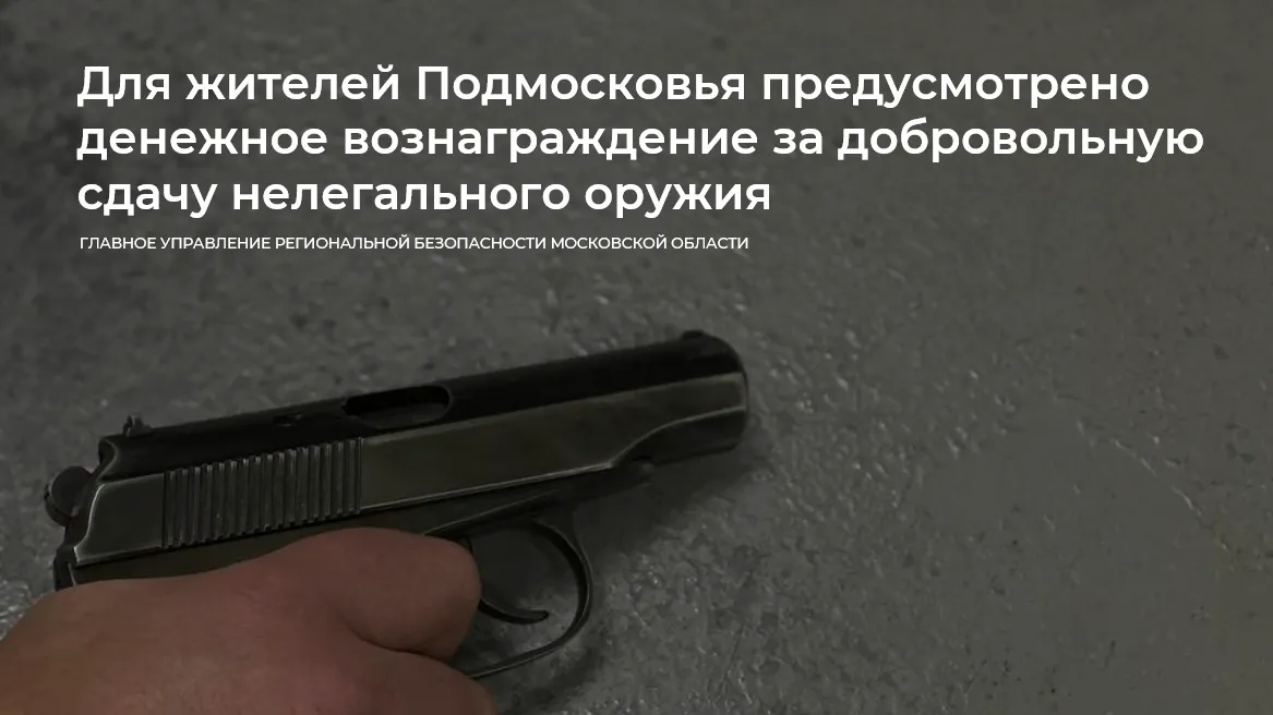 Жители Подмосковья получат денежное вознаграждение за сдачу нелегального оружия