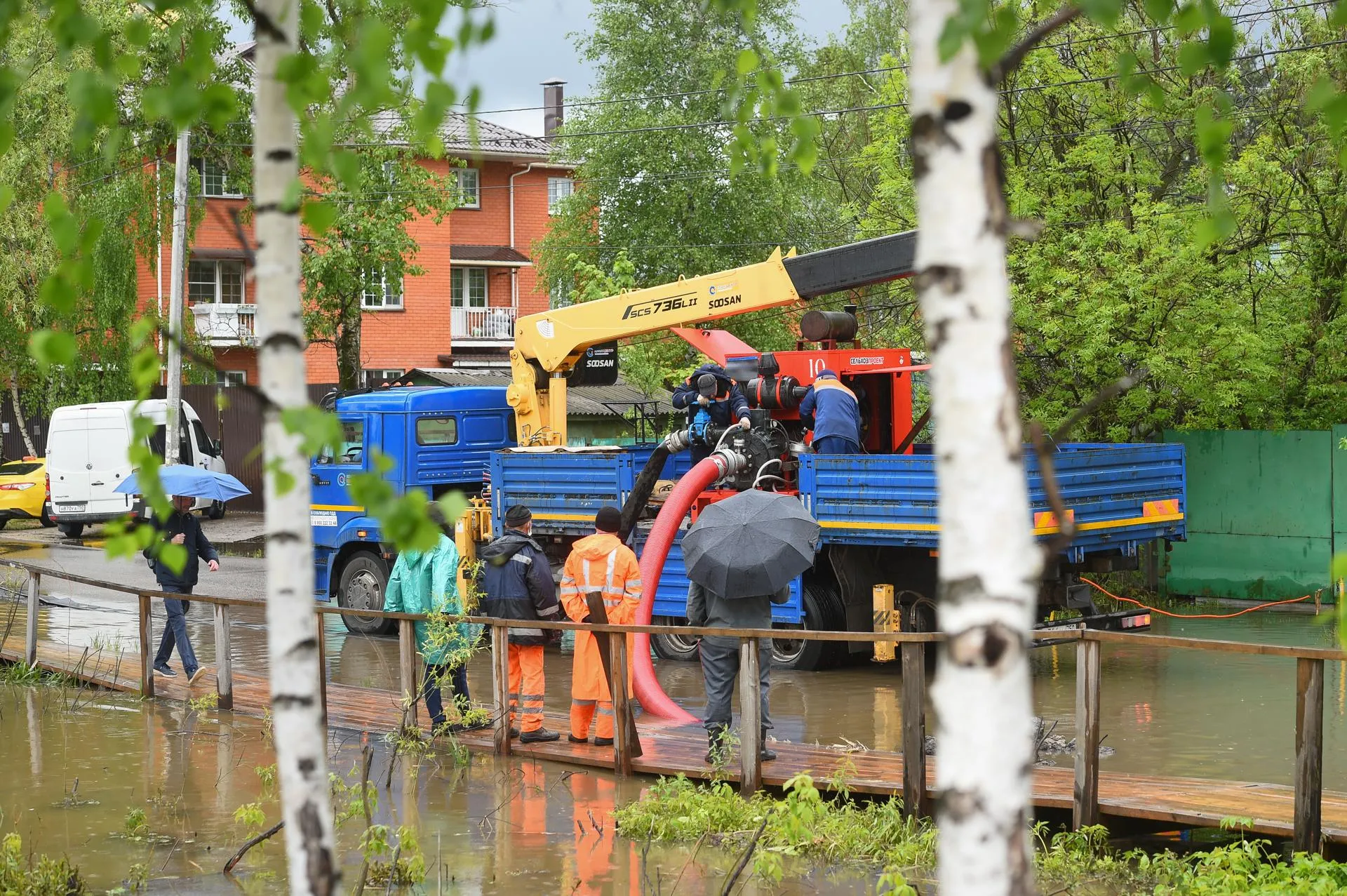 Александр Манзюк