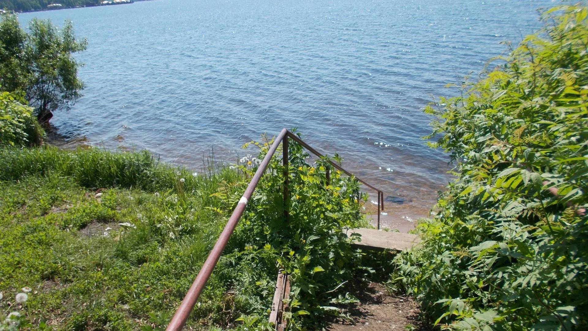 Двух человек нашли мертвыми в катере на водохранилище в Мытищах