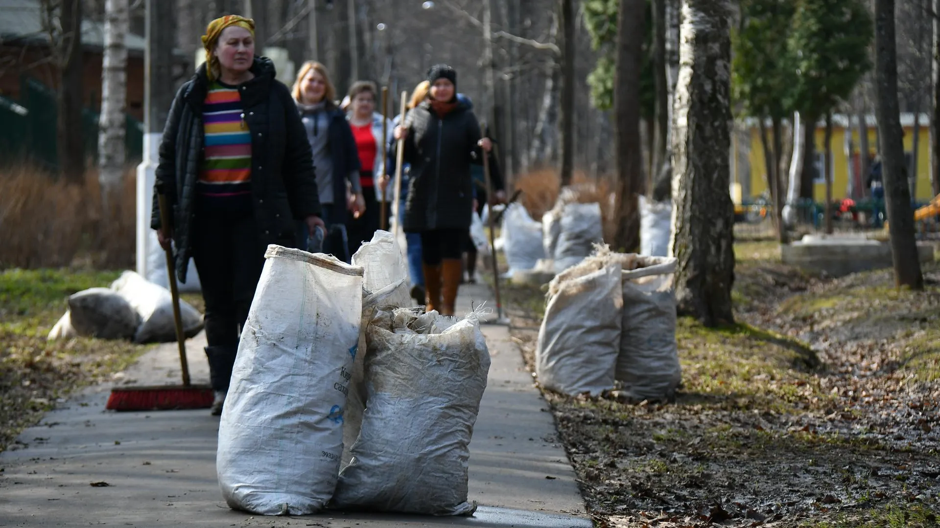 Около 87 тыс человек приняли участие в первых субботниках Подмосковья в этом году