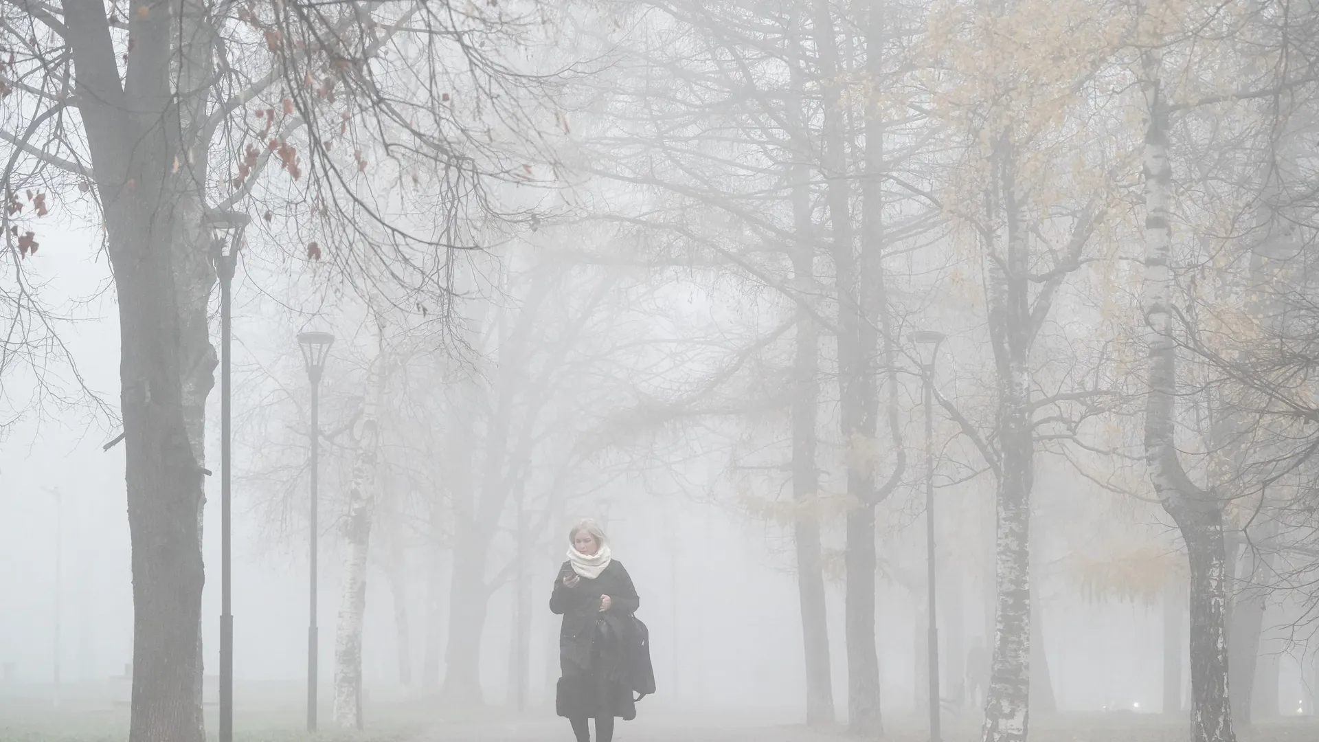 туман в Москве