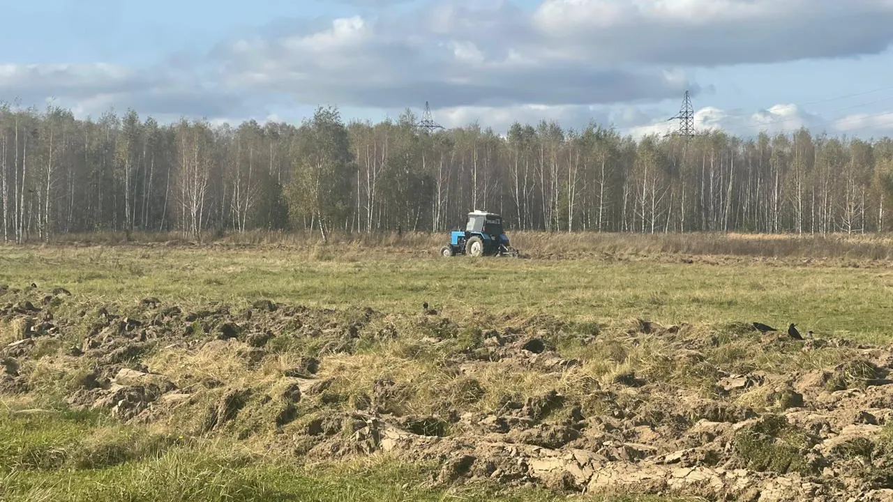 Новое фермерское хозяйство в Подмосковье получило 12 га на развитие