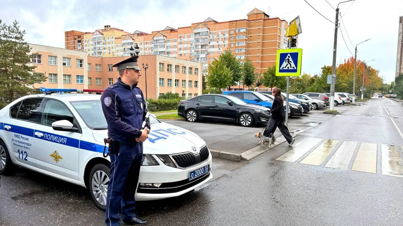 Экипажи ДПС у участков: подмосковная ГАИ обеспечивает безопасность на выборах